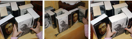 Professione bibliotecaria 3